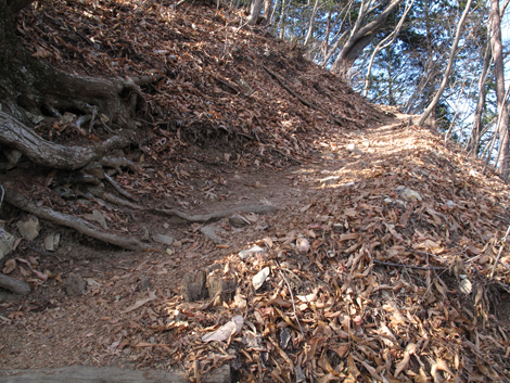 20171128hike (66)